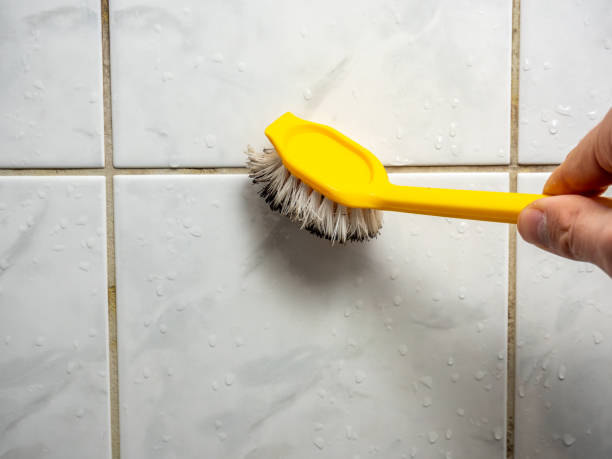 Best Emergency Mold Removal  in Steele Creek, AK