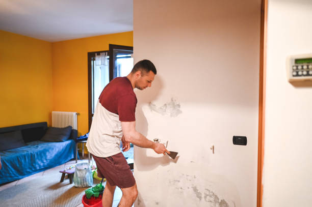 Best Same-Day Mold Removal  in Steele Creek, AK